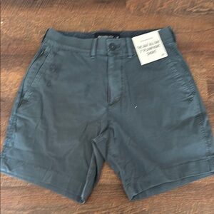 Abercrombie & Fitch Dark Gray Flat Front Shorts
